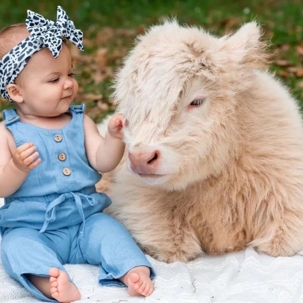 994b091462034ab8bc8188d1ff56a38e